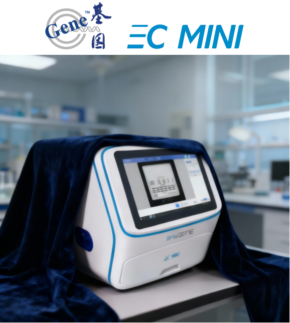 1769139561209625.png image.png